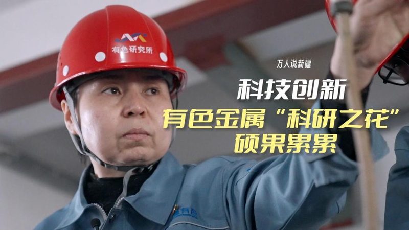 容器编排平台：如何从众多选项中精准选型